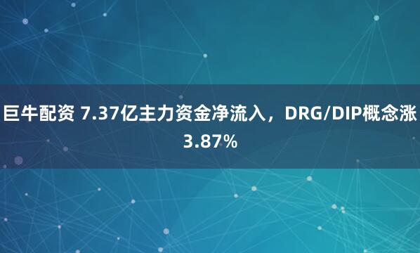 巨牛配资 7.37亿主力资金净流入，DRG/DIP概念涨3.87%